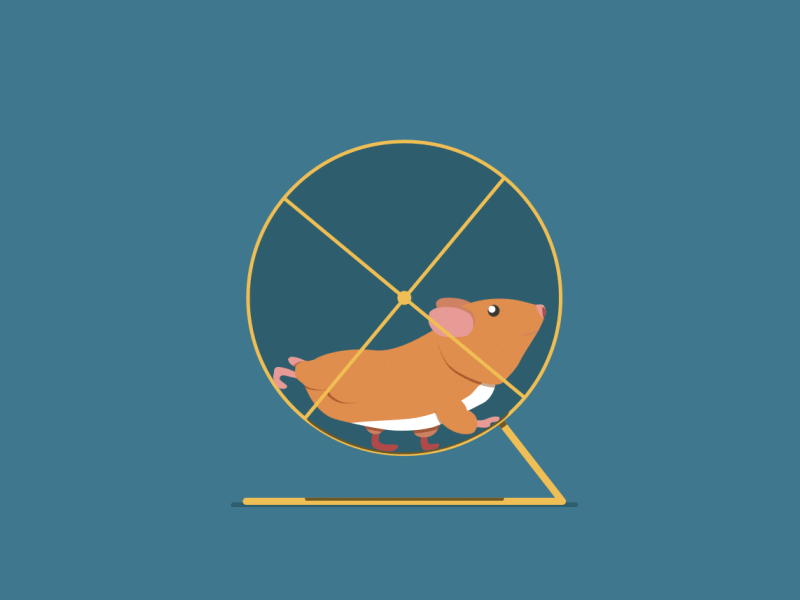 Automated Hamster Wheel